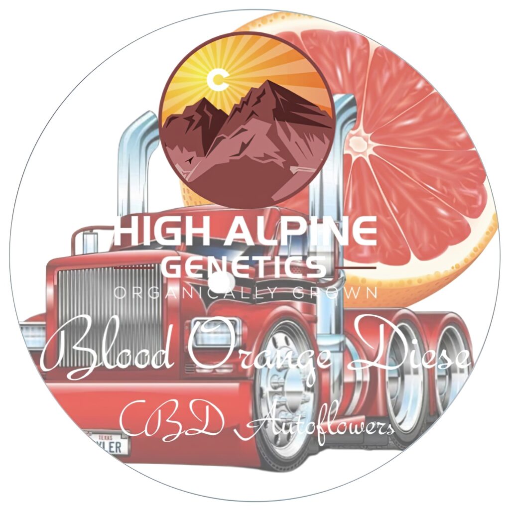 Blood Orange CBD