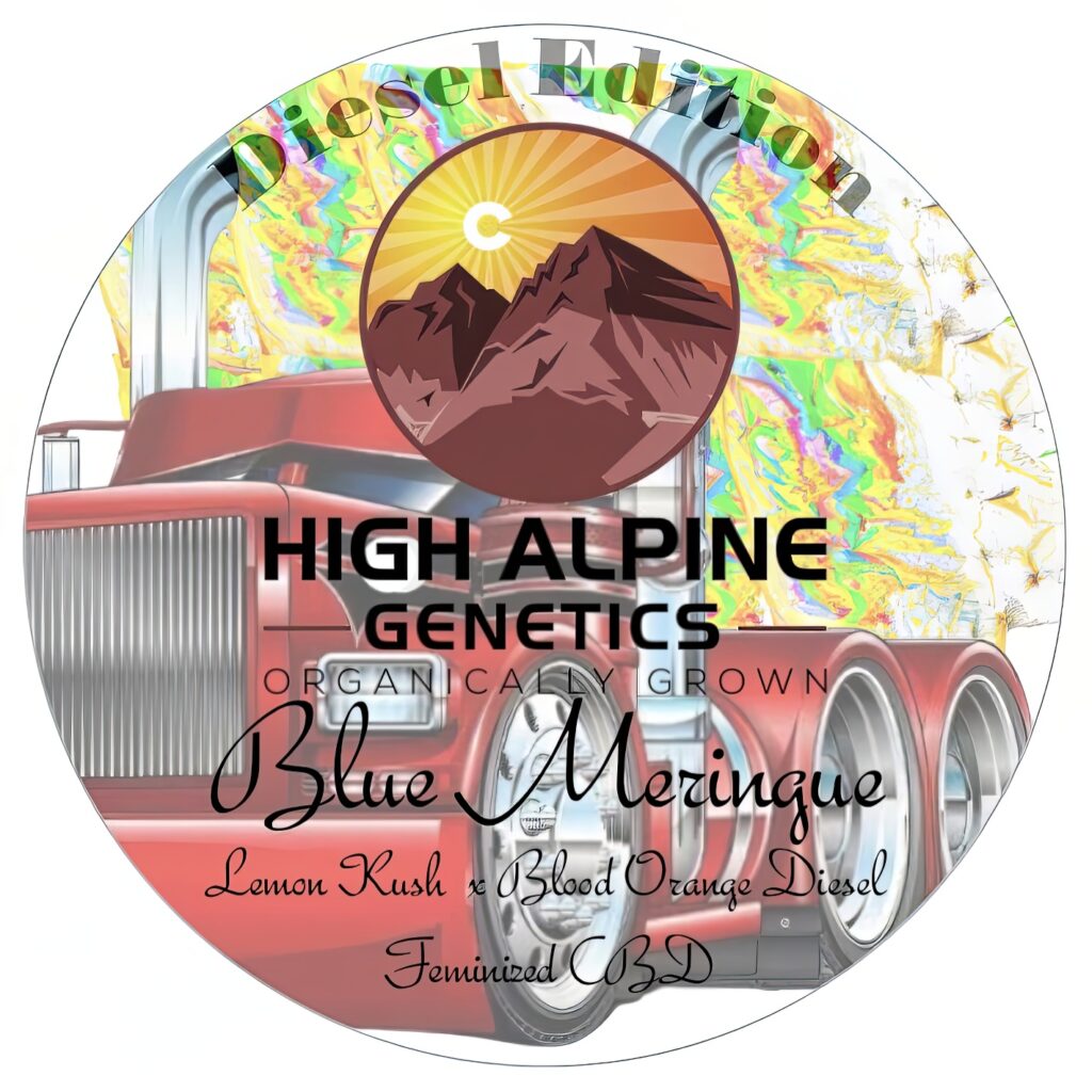 Blue Meringue Diesel Edition