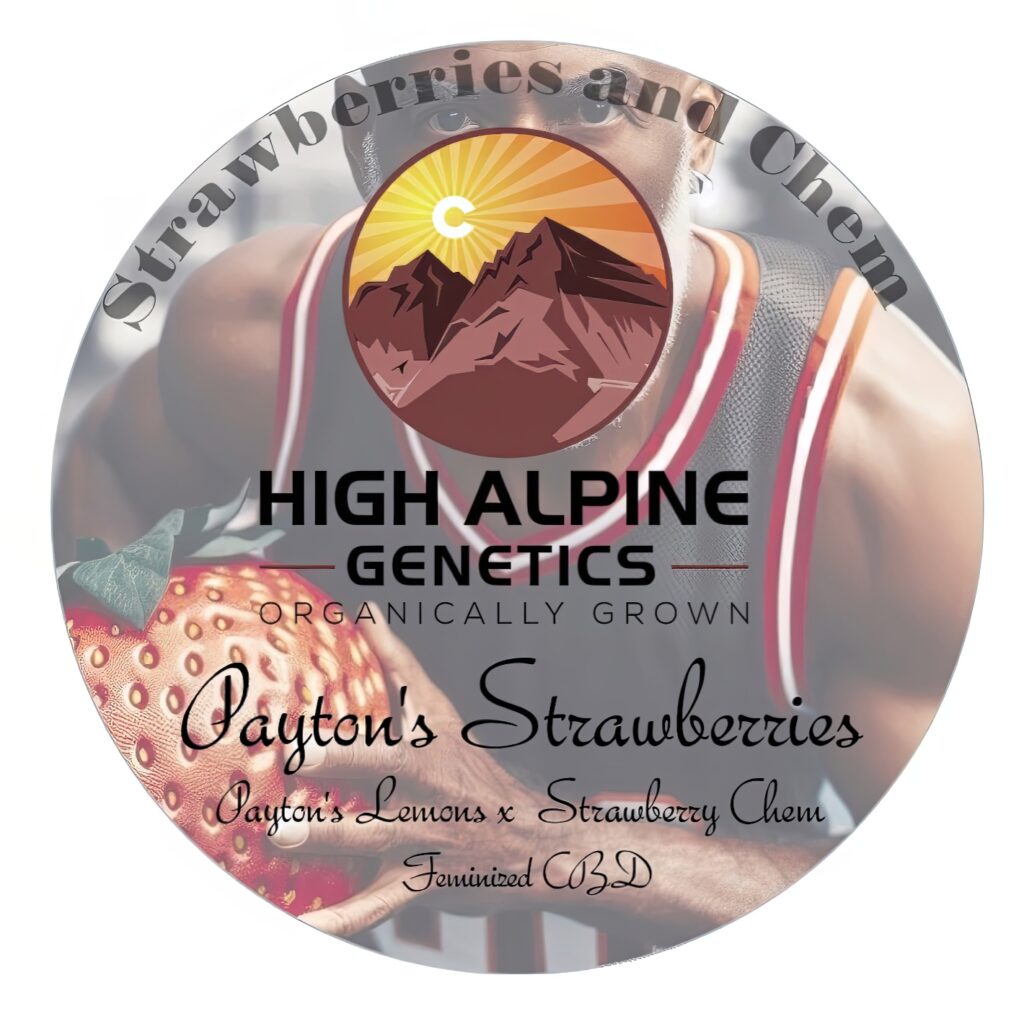 Paytons Strawberries