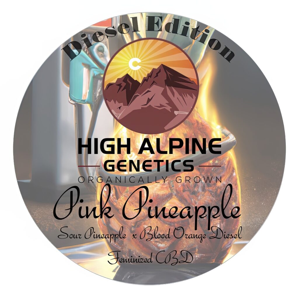 Pink Pineapple Diesel Edition