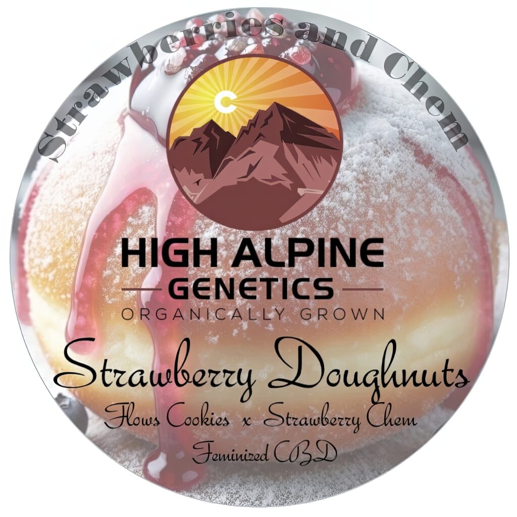 Strawberry Doughnuts